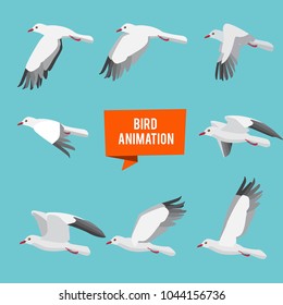 Key frames of animation flying bird. Animation bird fly, animal wildlife fly loop beak, vector illustration