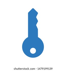 key glyph colour vector icon