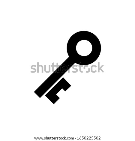 key glyph fill icon vector