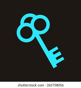 Key icon.
