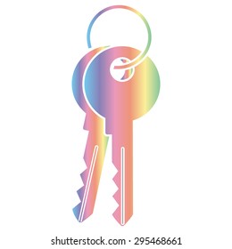 Key icon