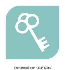 Key icon