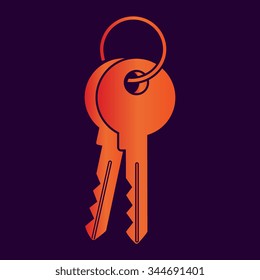 Key icon