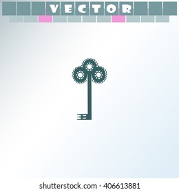 Key icon.
