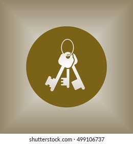Key Icon. Flat design.