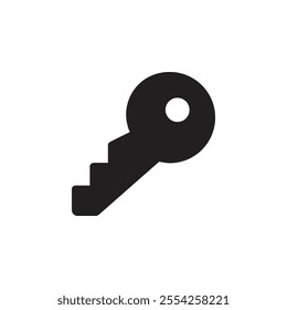 Key icon Flat line illustration