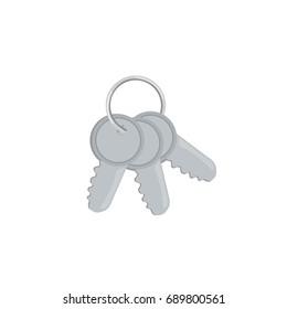 key icon in flat style isolated vector illustration on white transparent background