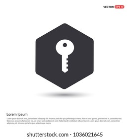 Key Icon Hexa White Background icon template