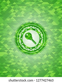 key icon inside green emblem with mosaic ecological style background