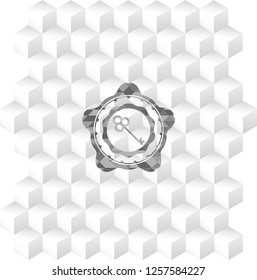 key icon inside grey emblem with cube white background