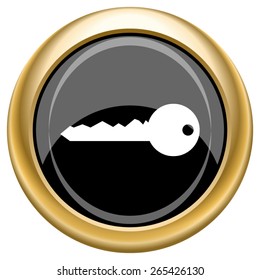 Key icon. Internet button on white  background. EPS10 Vector. 