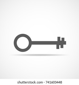 Key icon, isolated on light background. Gray key icon in flat style. Vector illustration