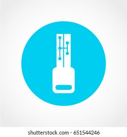 Key Icon Isolated on White Background