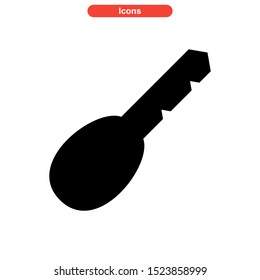 key icon isolated sign symbol vector illustration - high quality black style vector icons
