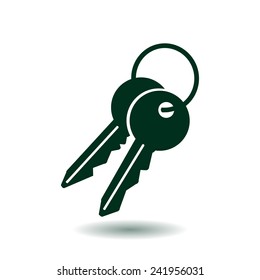 Key icon. Lock simbol. Security sign. Flat design style.