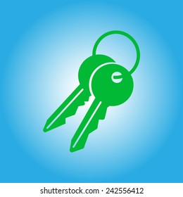 Key icon. Lock simbol. Security sign. Flat design style.