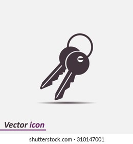 Key icon. Lock simbol. Security sign. Flat design style.