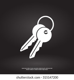 Key icon. Lock simbol. Security sign. Flat design style.