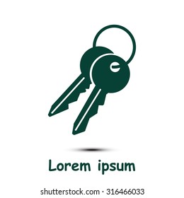 Key icon. Lock simbol. Security sign. Flat design style.