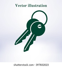 Key icon. Lock simbol. Security sign. Flat design style.