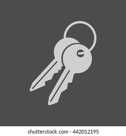 Key icon. Lock simbol. Security sign. Flat design style.