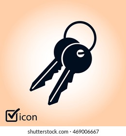 Key icon. Lock simbol. Security sign. Flat design style.