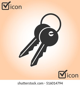 Key icon. Lock simbol. Security sign. Flat design style.