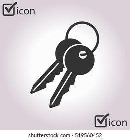 Key icon. Lock simbol. Security sign. Flat design style.