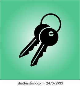 Key icon. Lock symbol. Security sign. Flat design style.