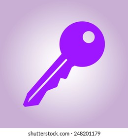 Key icon. Lock symbol. Security sign. Flat design style.