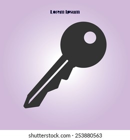 Key icon. Lock symbol. Security sign. Flat design style.