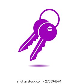 Key icon. Lock symbol. Security sign. Flat design style.