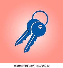 Key icon. Lock symbol. Security sign. Flat design style.