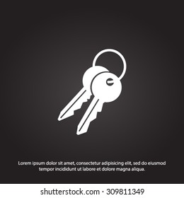 Key icon. Lock symbol. Security sign. Flat design style.