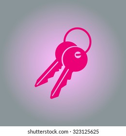 Key icon. Lock symbol. Security sign. Flat design style.