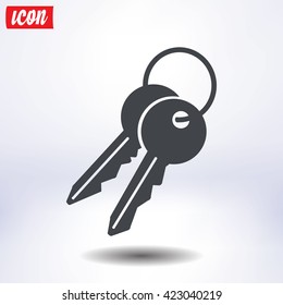 Key icon. Lock symbol. Security sign. Flat design style.