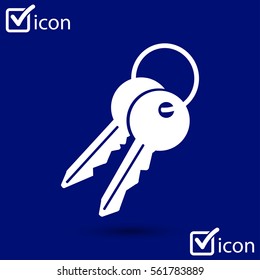 Key icon. Lock symbol. Security sign. Flat design style.