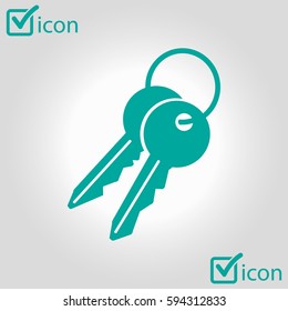Key icon. Lock symbol. Security sign. Flat design style.