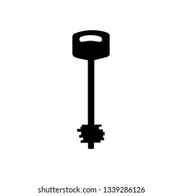 Key icon, logo isolated on white background