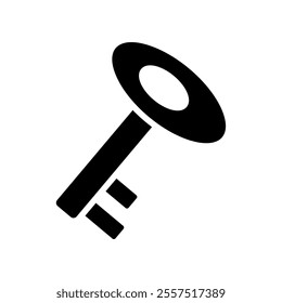 key icon, modern vector isolated on white background.