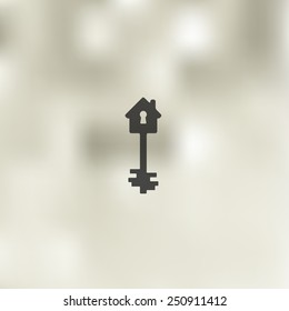 key icon on blurred background