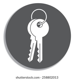 Key icon on a grey background