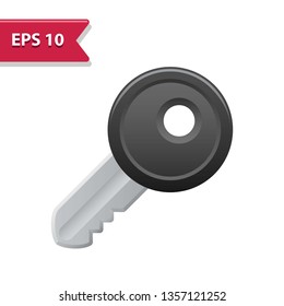 Key Icon. Professional, pixel-aligned icon in realistic colors.