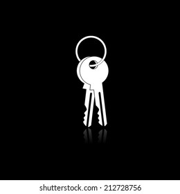 Key icon with shadow