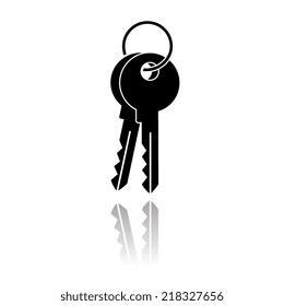 Key icon with shadow