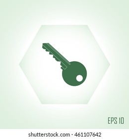 Key icon. Simple flat style vector illustration