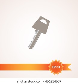 Key icon. Simple flat style vector illustration