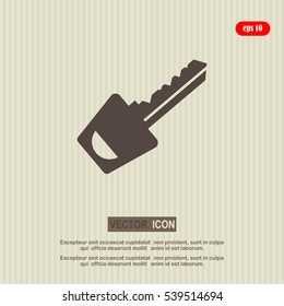 Key icon. Simple flat style vector illustration