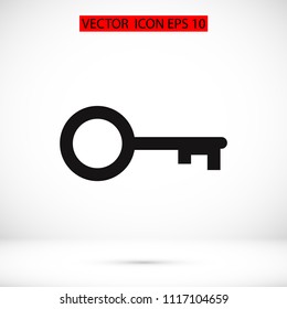 key icon, stock vector illustration flat design