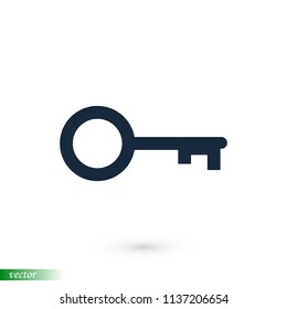 key icon, stock vector illustration flat design